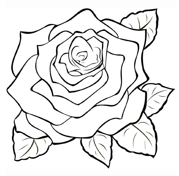 Rose Zoomed In coloring page for children