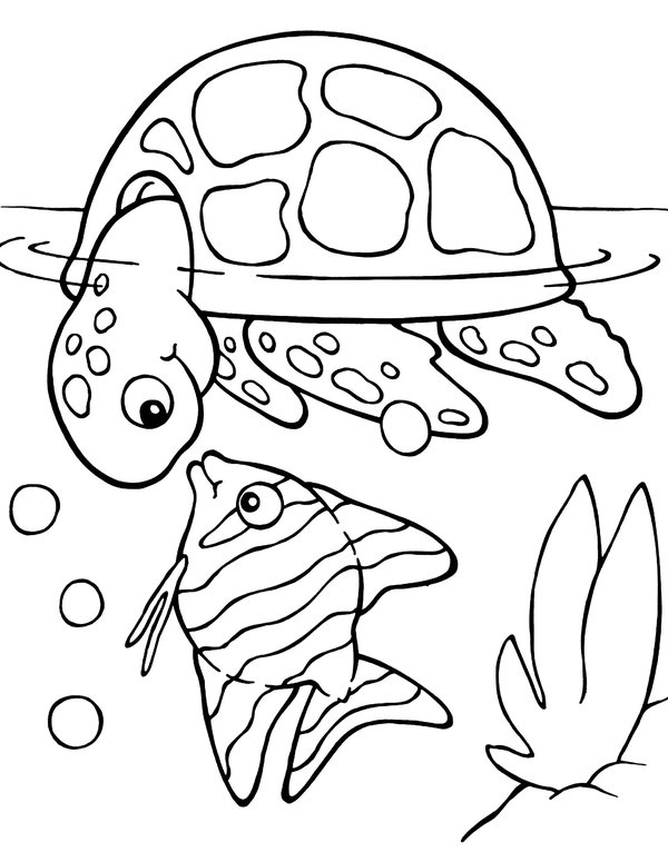 Schildpad Vissen Zee coloring page for children