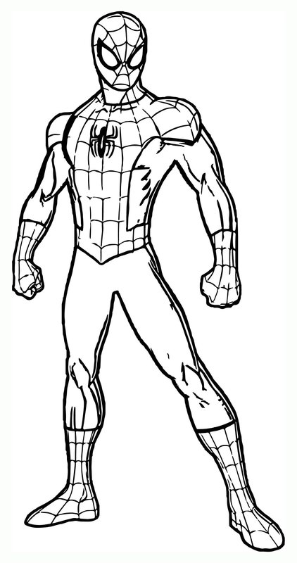 Spiderman stehend coloring page for children