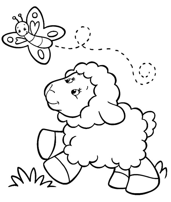 Spring Cute Lamb Butterfly coloring page for children