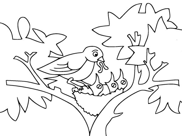 Spring Mum Bird Feeding Babies coloring page for children