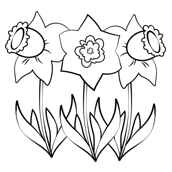Spring Three Daffodils coloring page for children