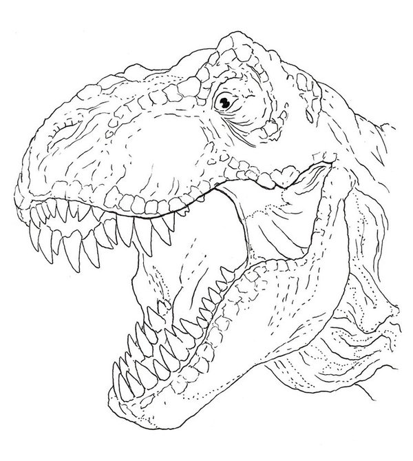 Tête de dinosaure T-Rex coloring page for children