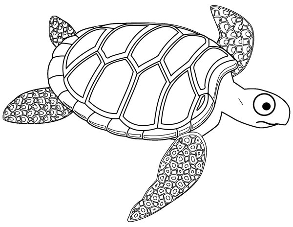 Turtle With Big Eyes coloring page for children