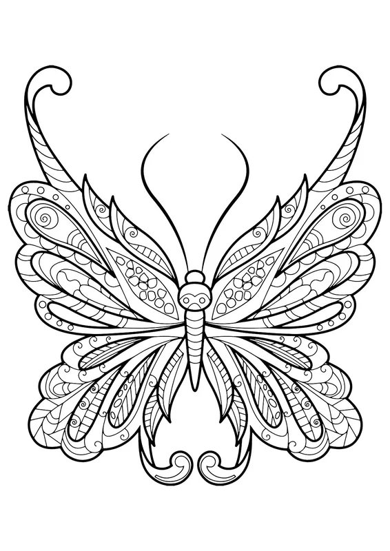 Butterfly Coloring Page with Ornaments