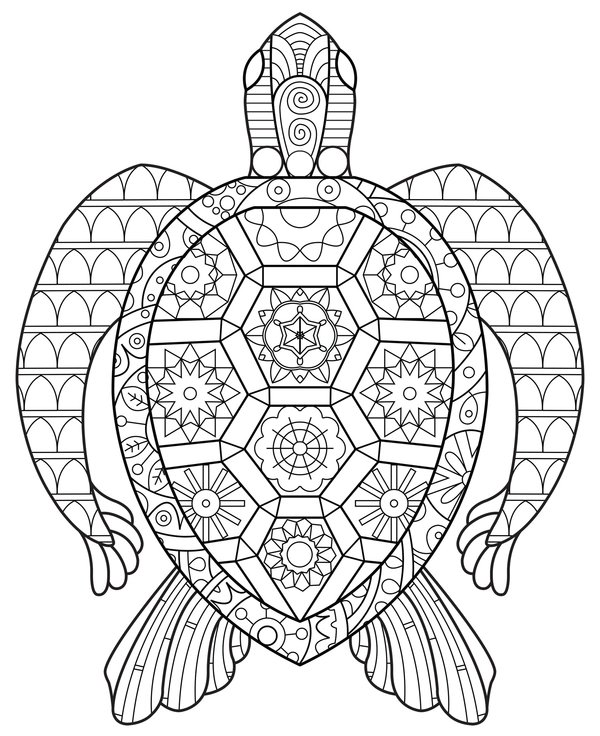 Zentangle Tortuga desde arriba coloring page for children