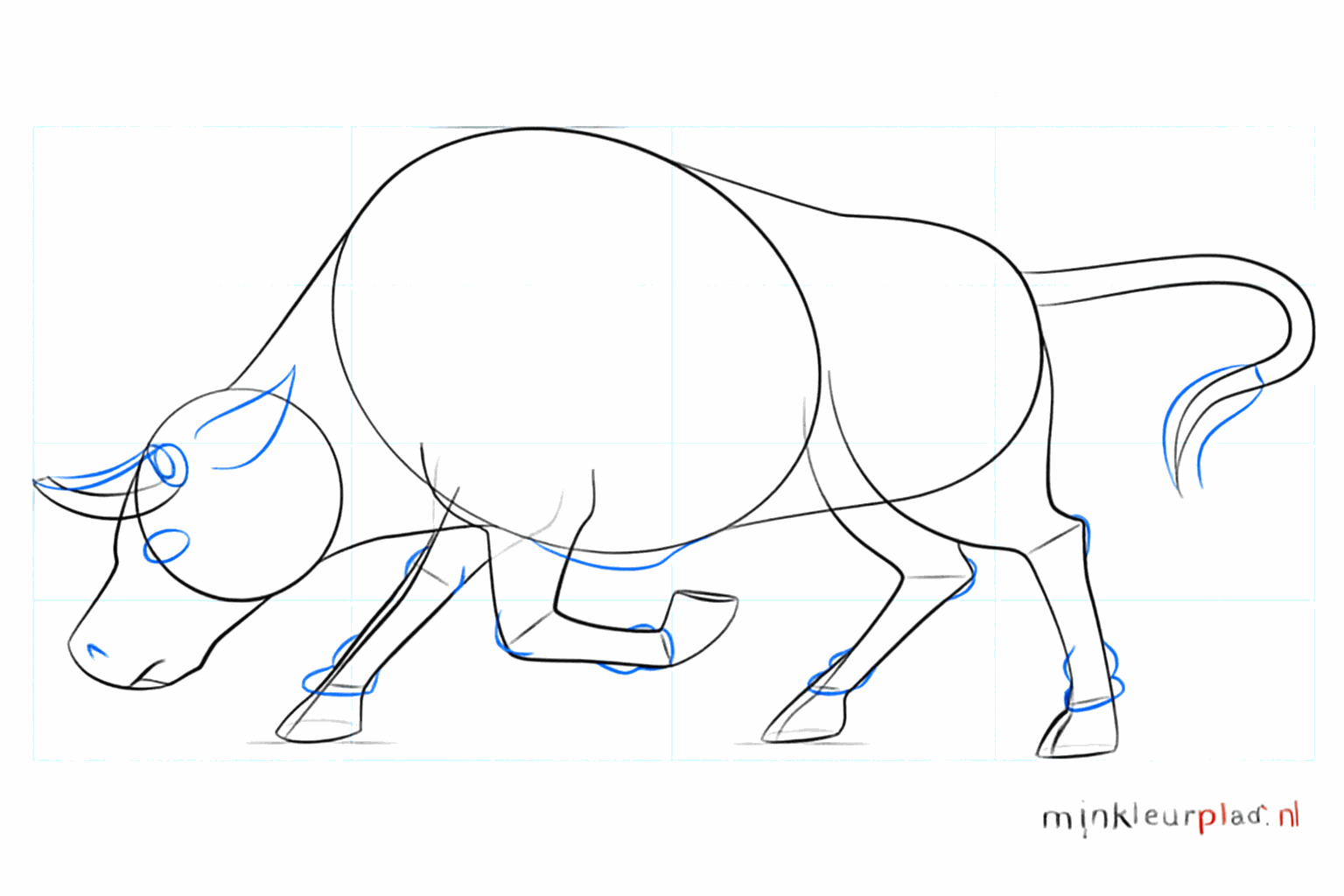 Details van de hoeven en de volledige staart van de stier.