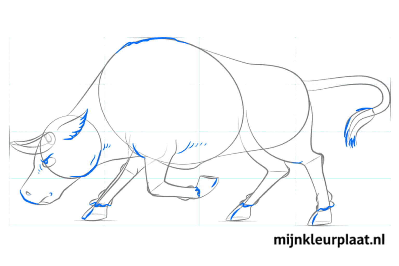 Het gezicht van de stier met een oog, oor en neusgat getekend.