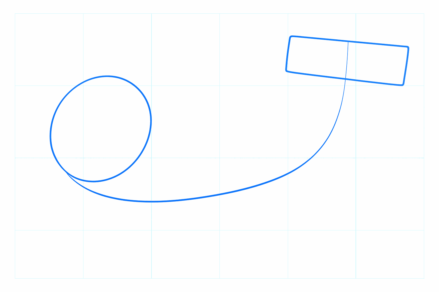 Basislijnen voor de kop en de rug van de hamerhaai.