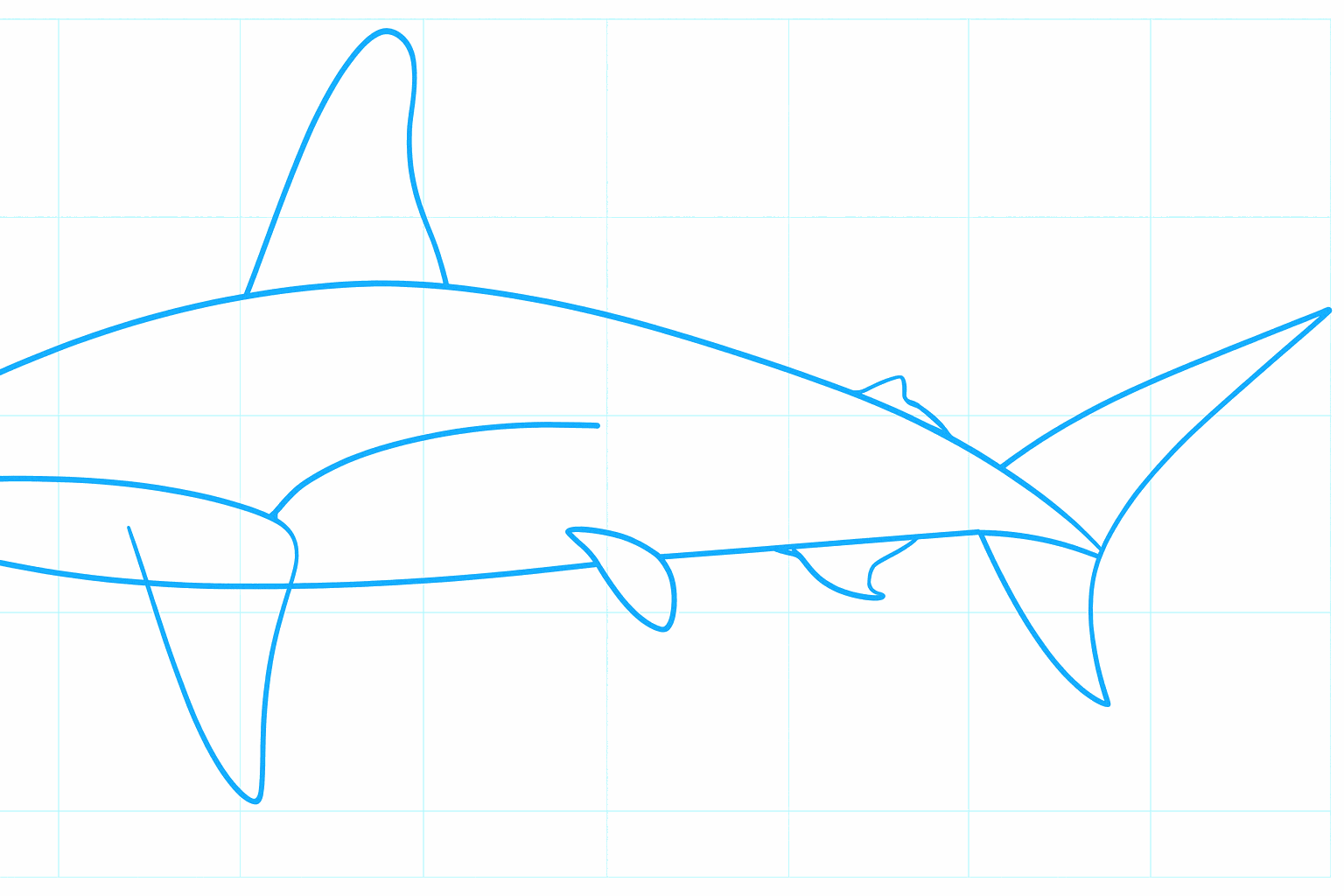 Kleine details en extra vinnen bij de staart.