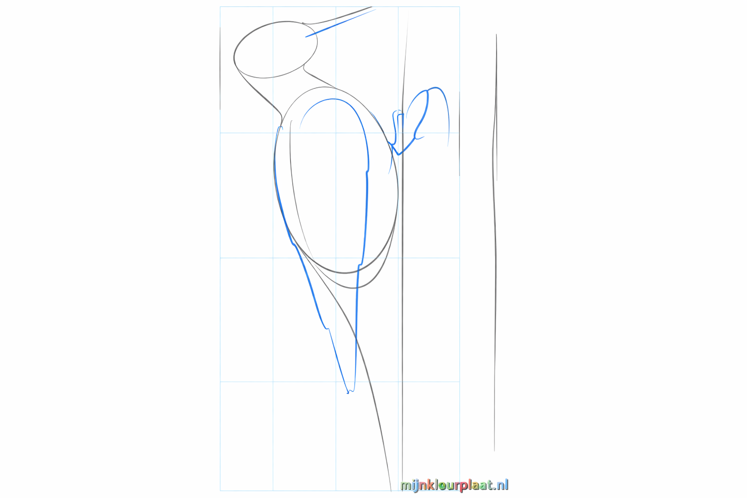 Hulplijnen voor de snavel, vleugels en pootjes van de vogel.