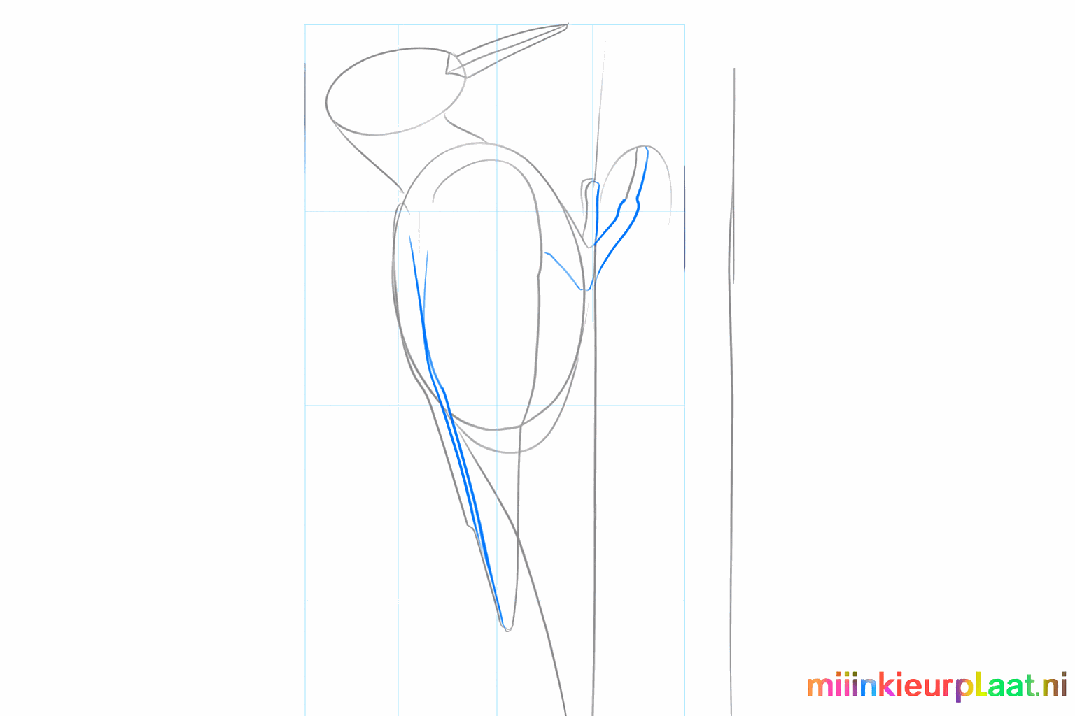 De snavel en de vleugel van de specht krijgen meer vorm.