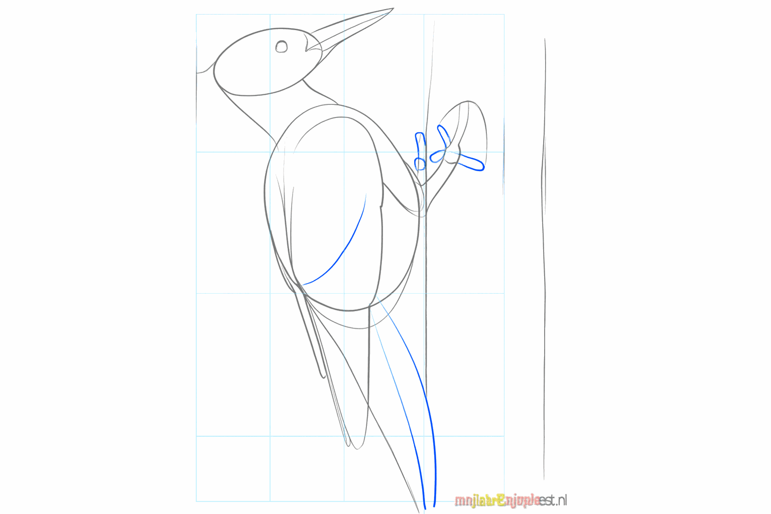 Tekening van een specht met een oogje en een scherpe staart tegen de boom.