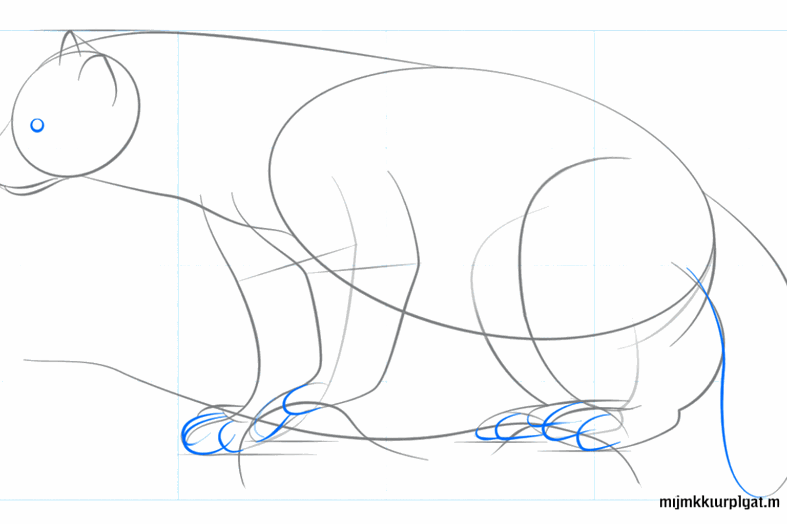 Details van het gezicht en een volle staart tekenen.