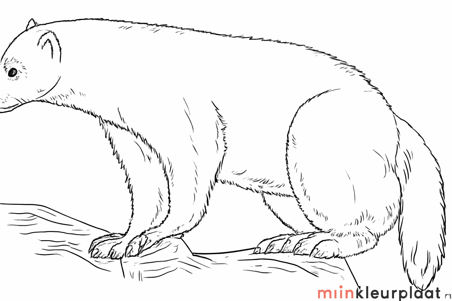 Vachtstructuur en details op de boomstam toevoegen.