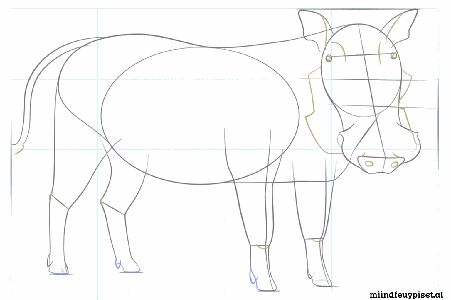 Het gezicht krijgt ogen en de staart krijgt een borstelig einde.