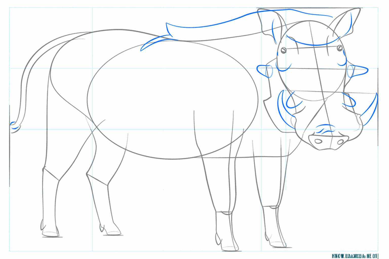 Extra details bij de gewrichten van de poten en de vorm van de kop.