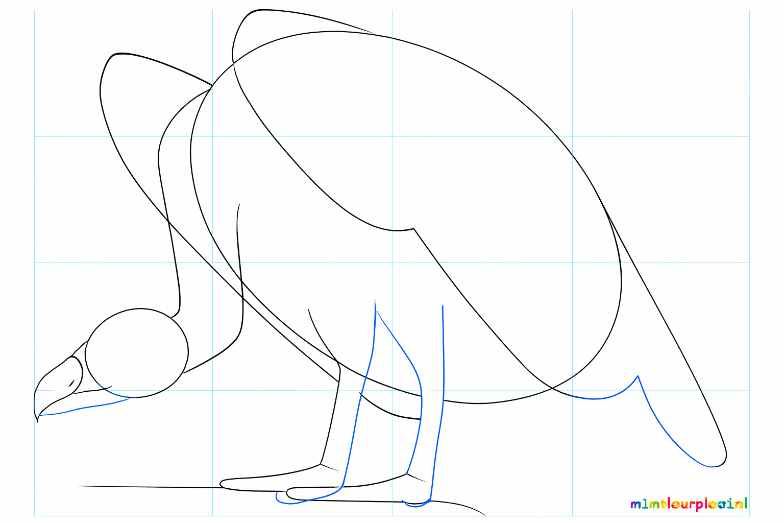 Vormen van de kromme snavel, de brede vleugels en de poten worden zichtbaar.
