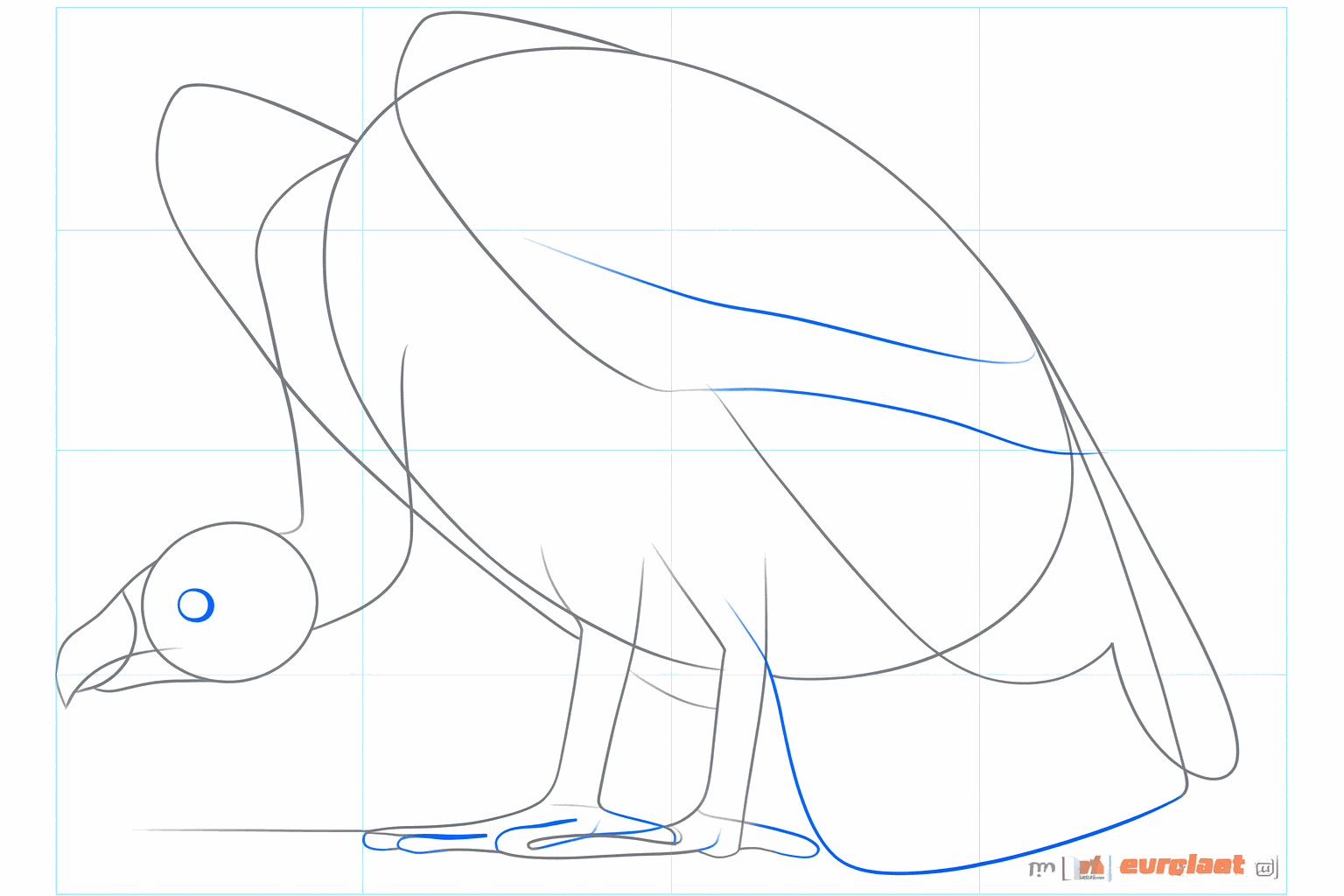 Details van het oog en de omlijning van de vleugel van de gier.