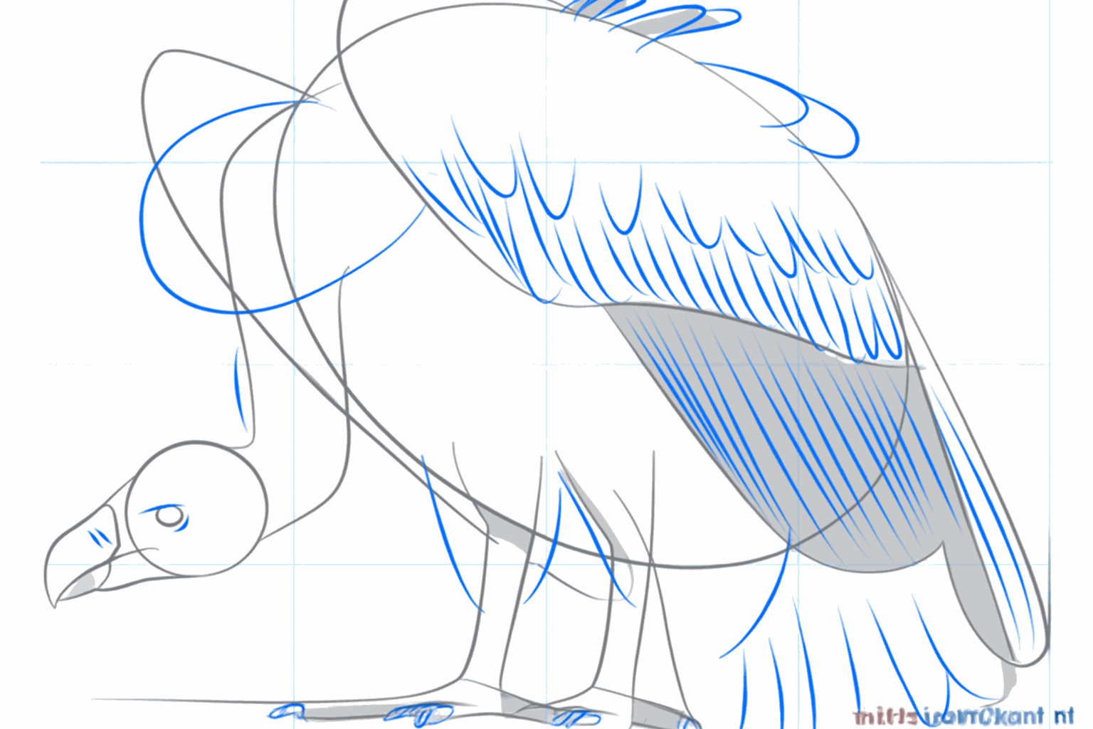 De staart krijgt veren en de poten krijgen kleine klauwtjes.