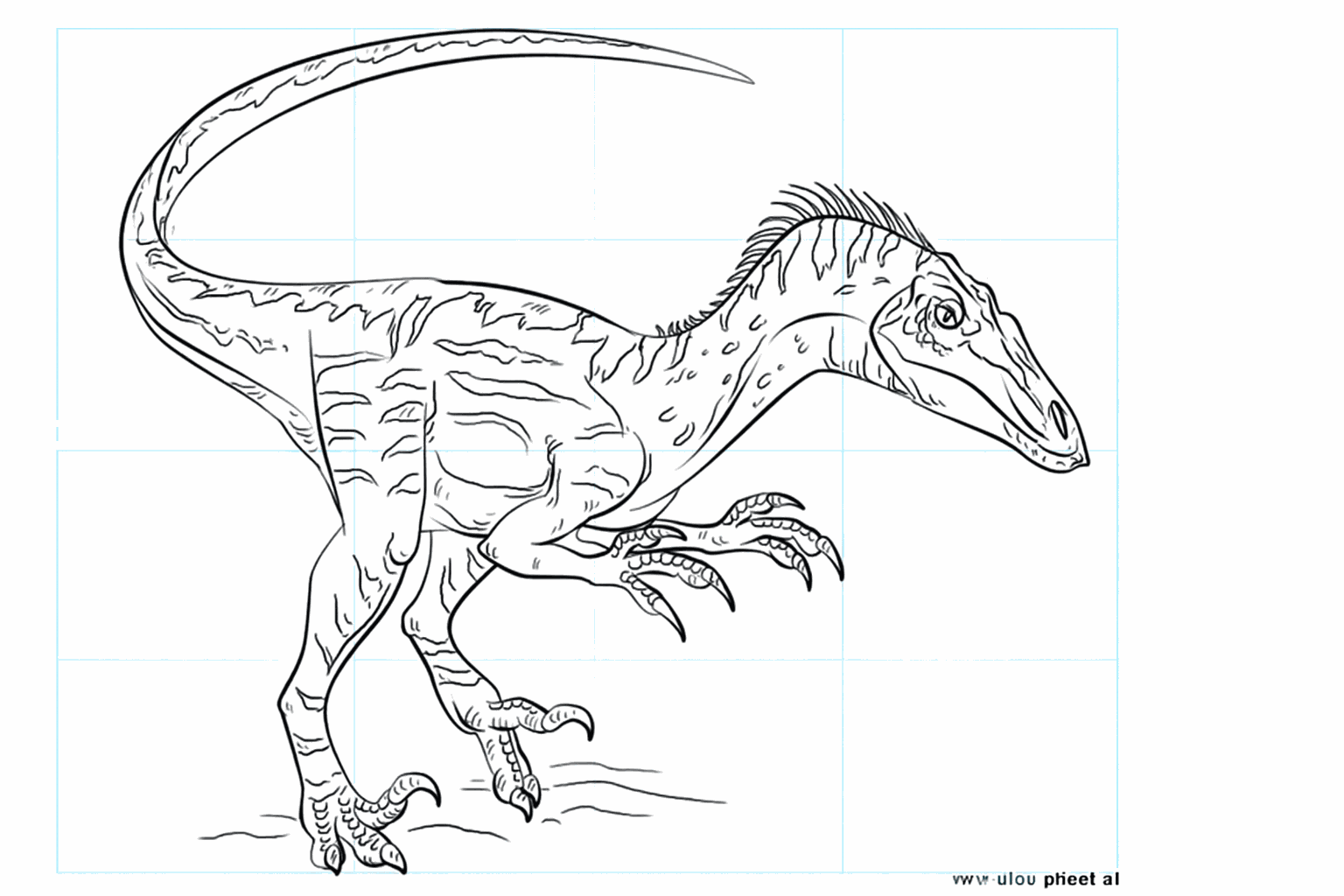 De voltooide tekening van een Velociraptor op een ondergrond.