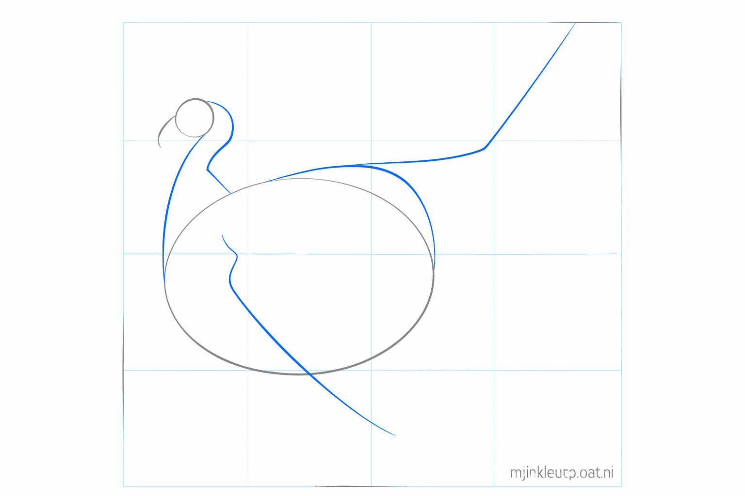 De neklijnen verbinden de kop met het lichaam van de kalkoen.