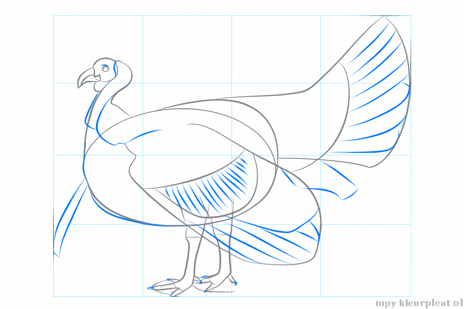 Details zoals het oog, de tenen en de lellen van de kalkoen.