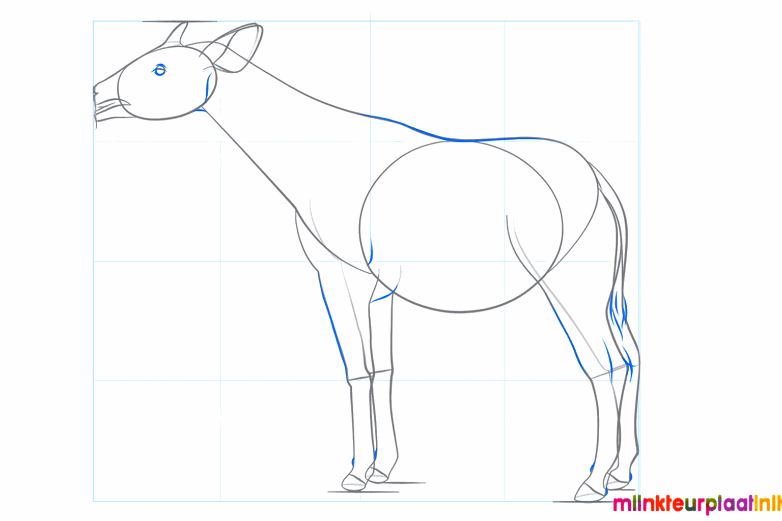 Details zoals het oog, de neus en de pluizige staart toevoegen.