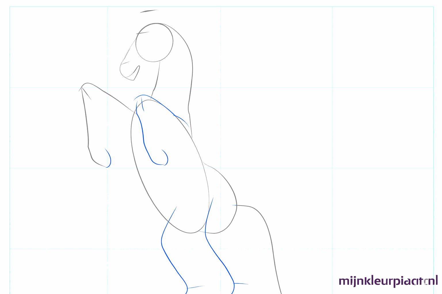 Hulplijnen voor de vier benen en een gebogen lijn voor de staart van het paard.