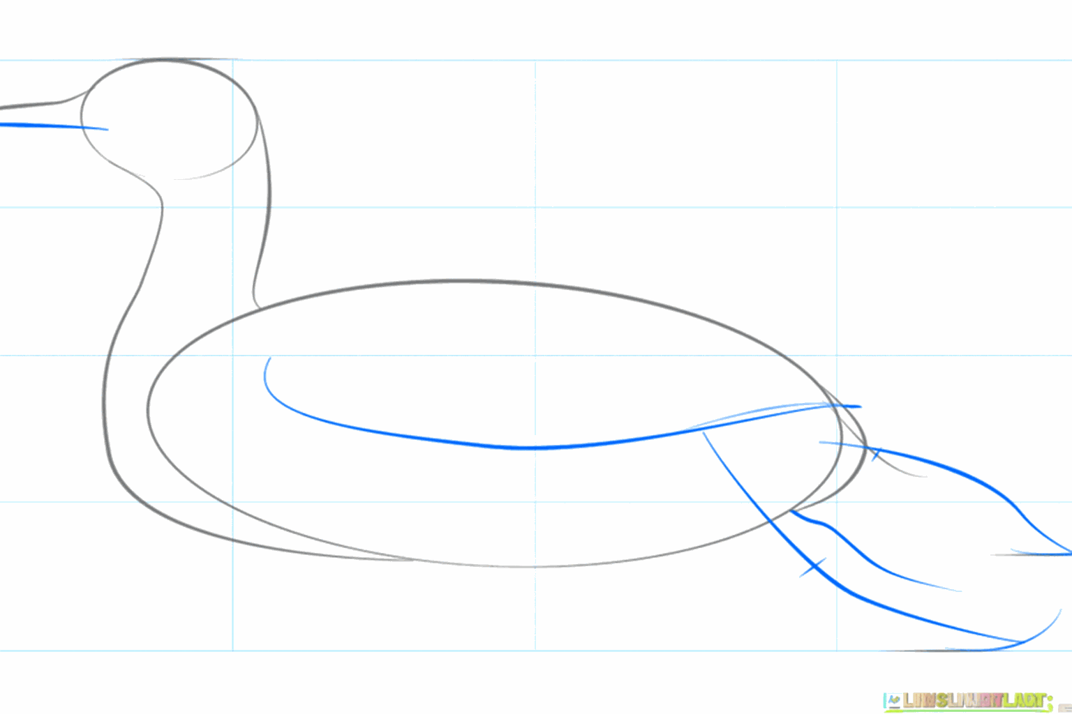 De omtrek van de rug en de staart van de ijsduiker getekend met lijnen.