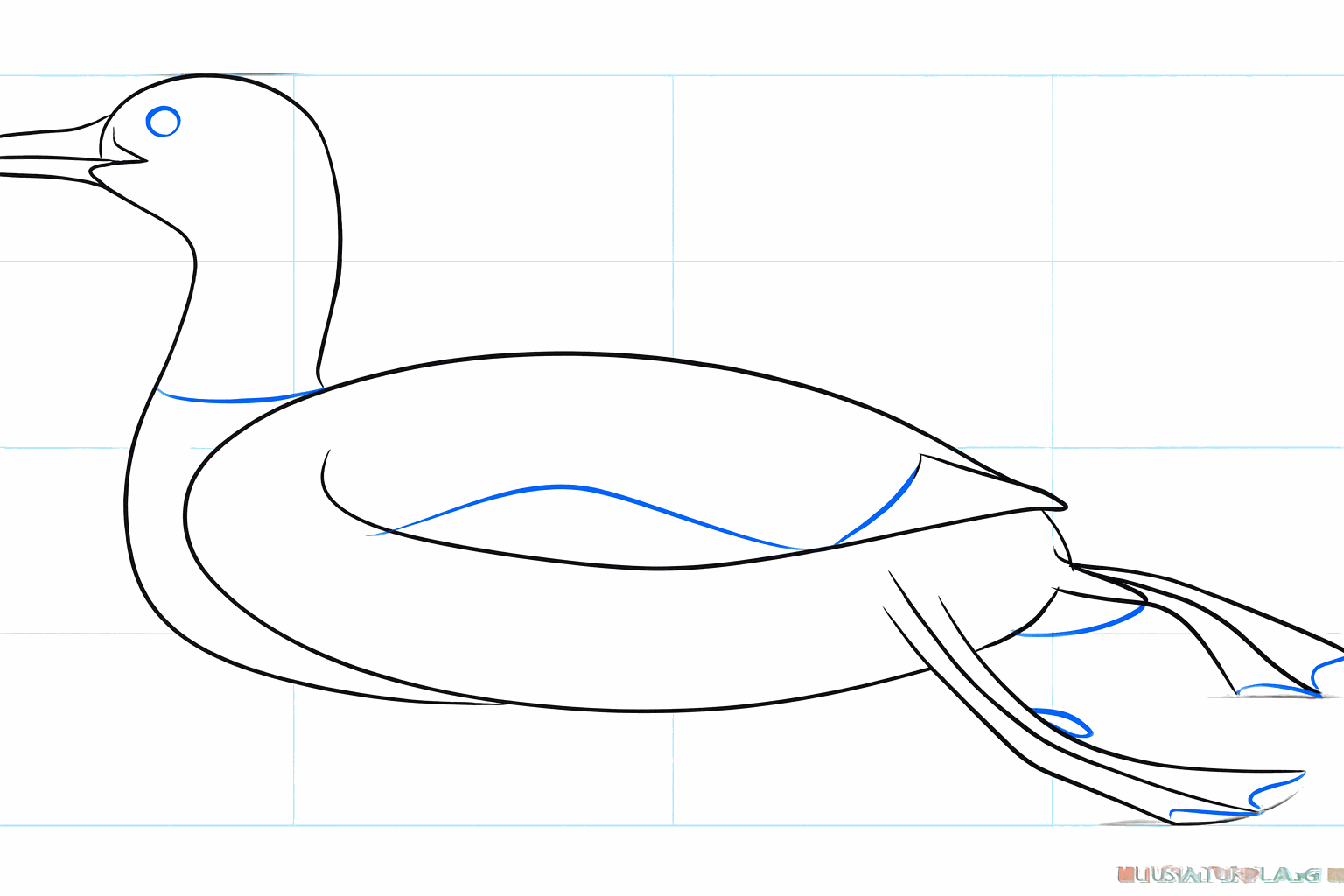 Tekening van de poten onder de vogel en een scherpe snavel.