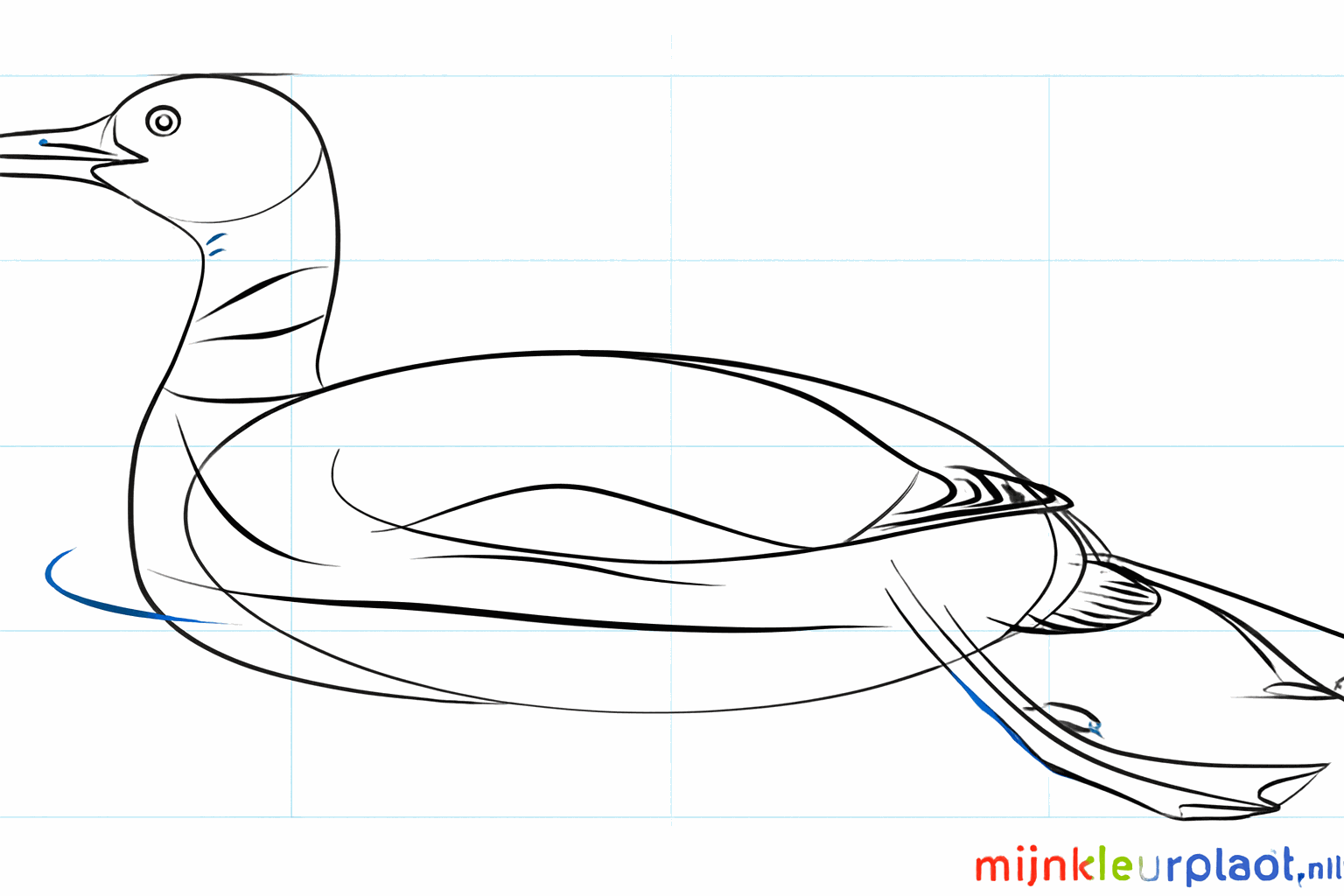 Detail van het oog en de eerste lijnen van het verenpatroon.