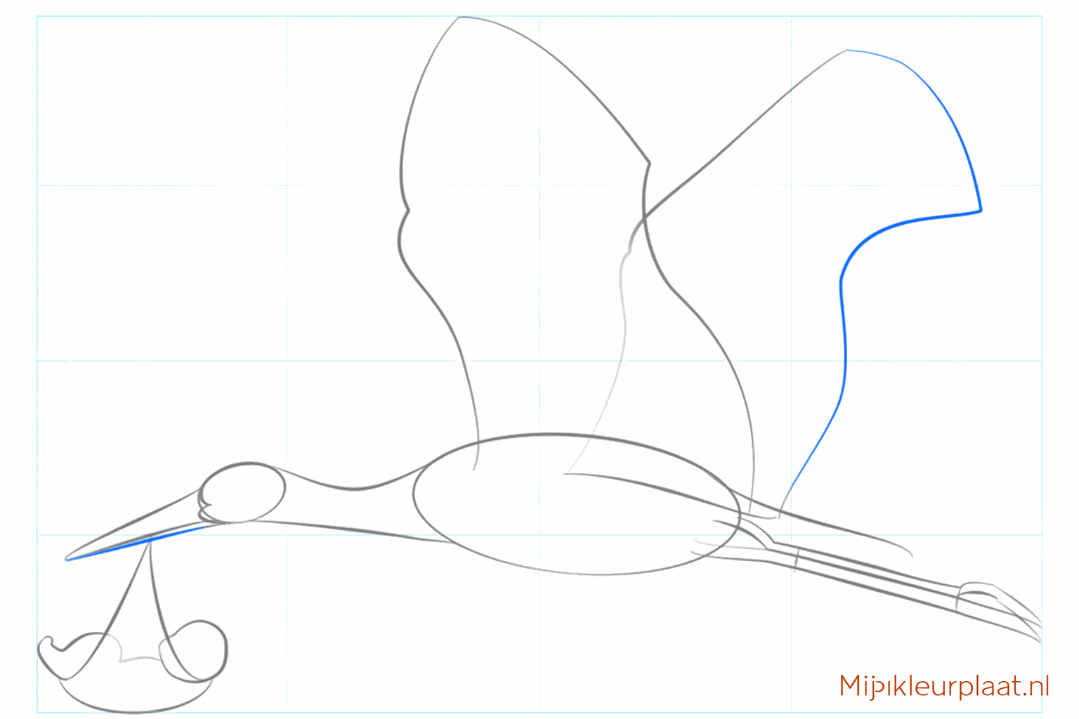 De snavel krijgt vorm en de lange vogelpoten worden geschetst.