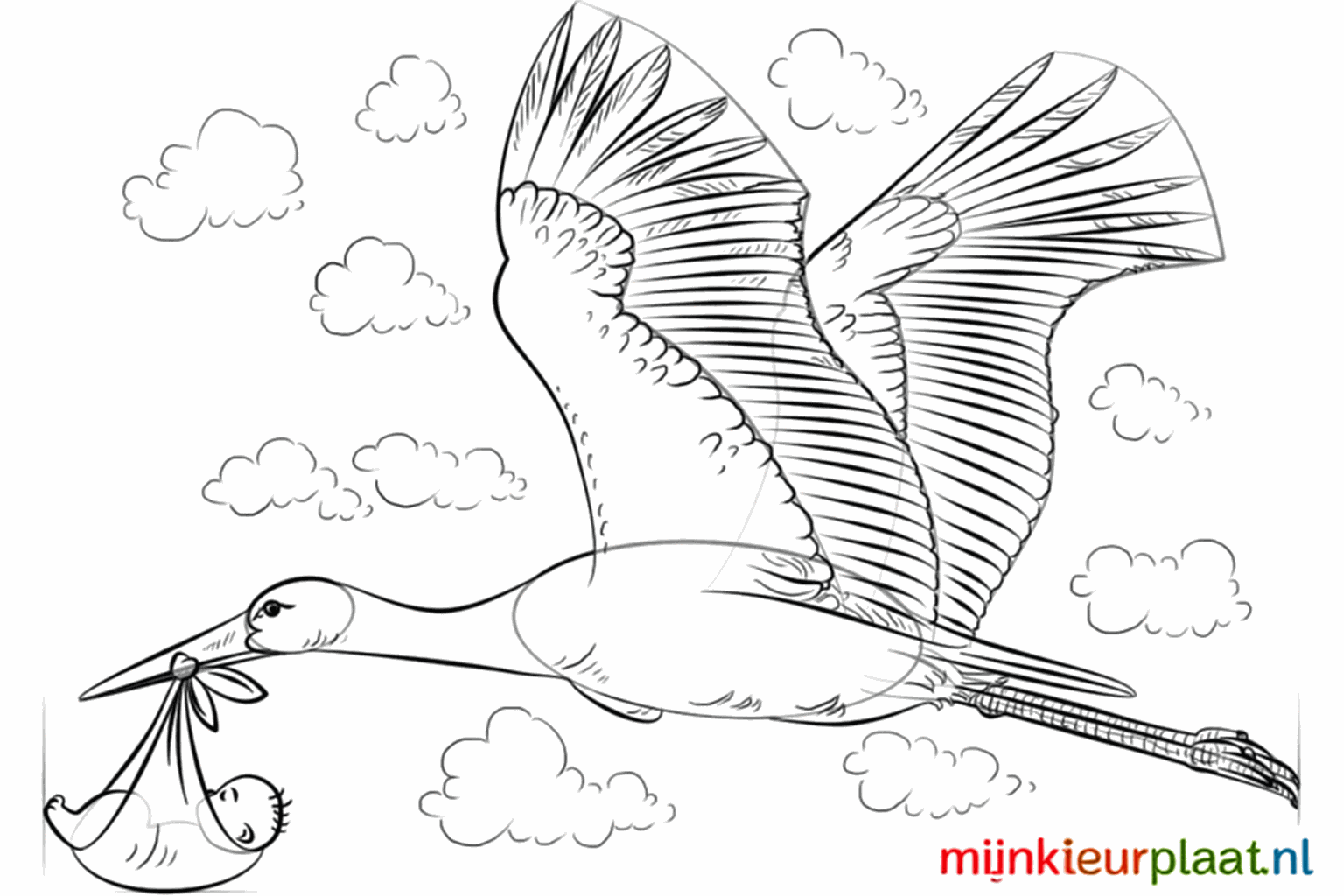 Veren en kleine details worden over de hele tekening toegevoegd.