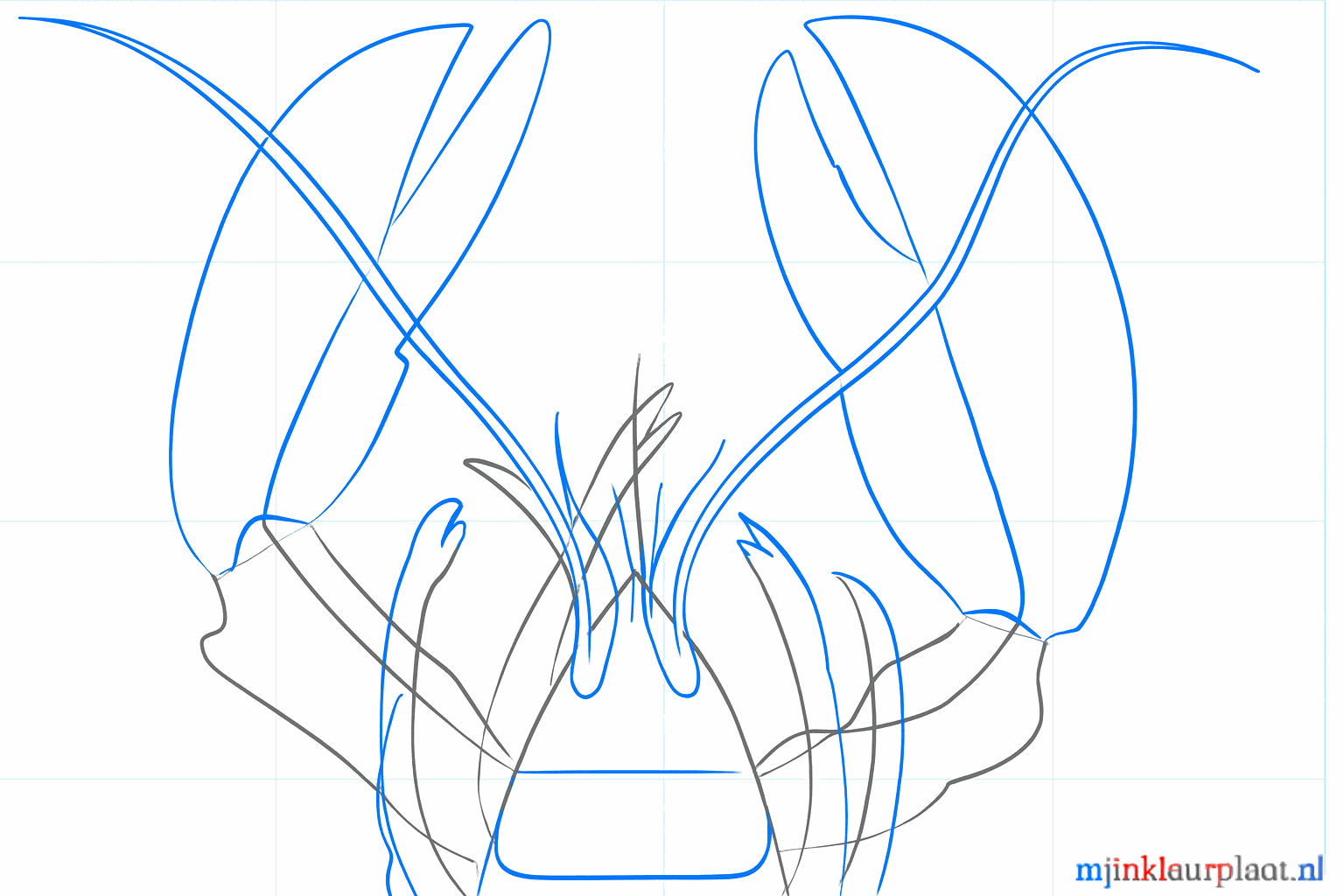 Kreeft met dunne pootjes aan de zijkant en dikkere voelsprieten op de kop.