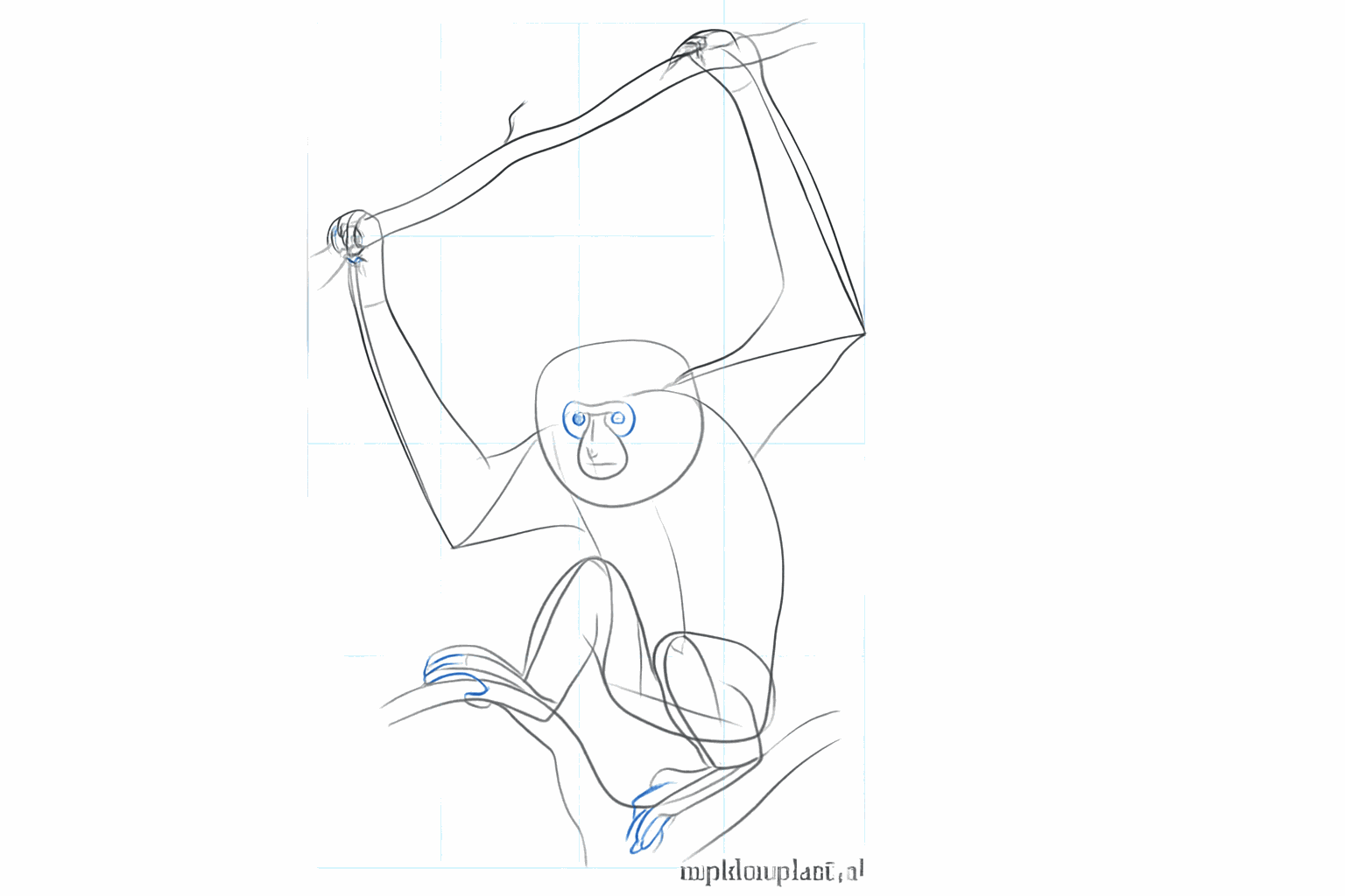 Details van de handen en voeten met smalle vingers.