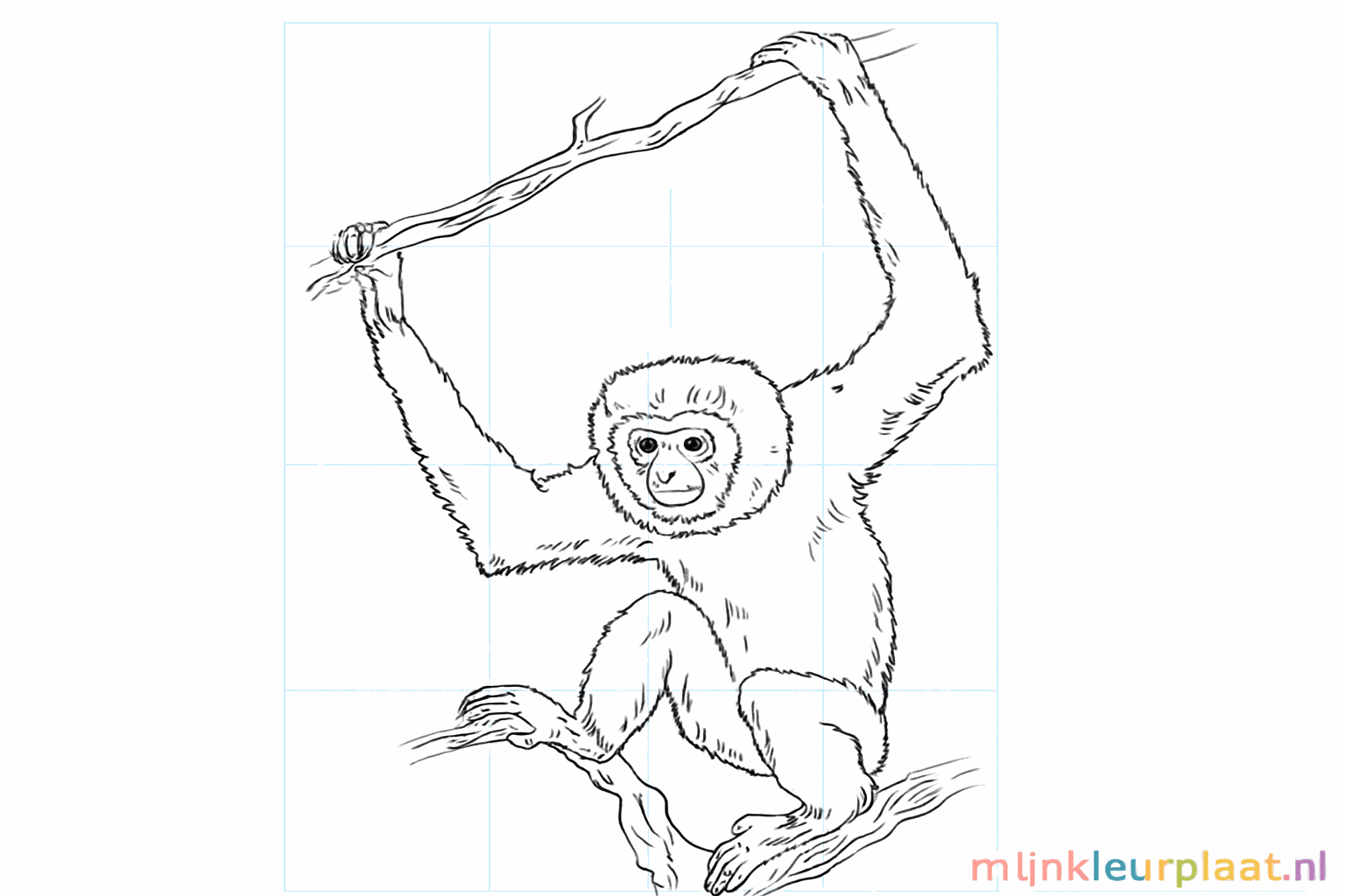 De voltooide tekening van een gibbon zonder hulplijnen.