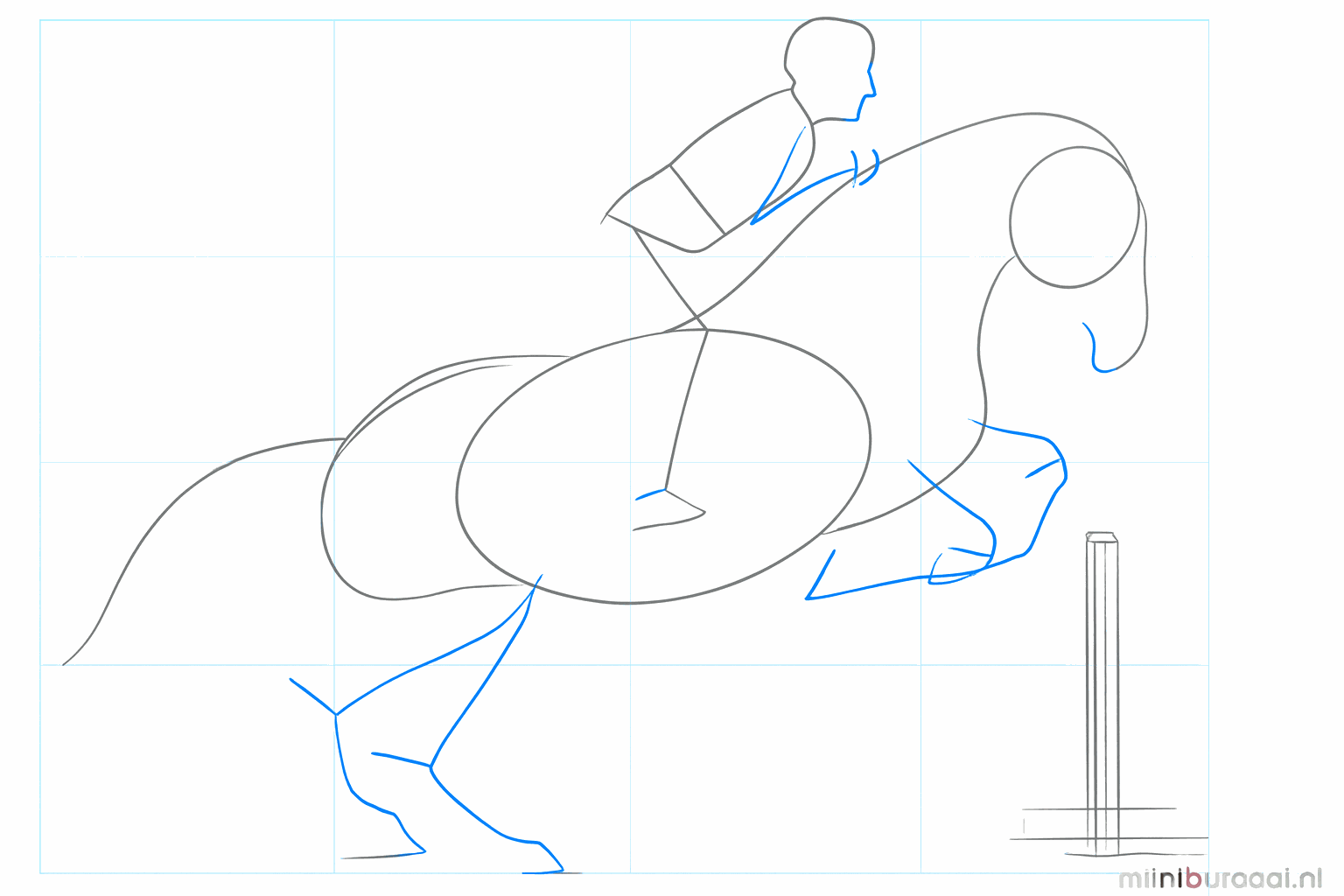 Hulplijnen voor de benen van het paard en de ledematen van de ruiter.