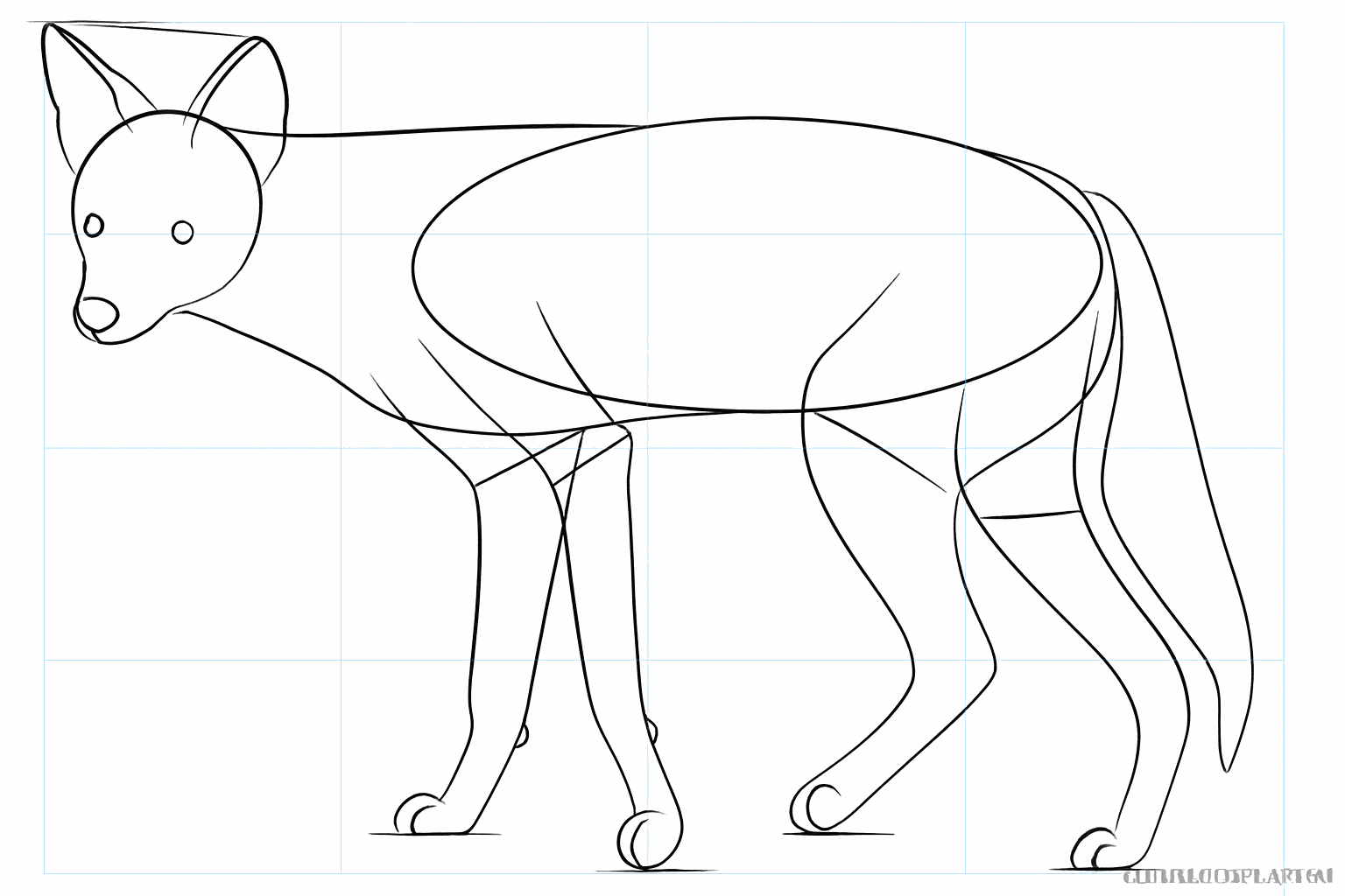 Details van het gezicht en een pluizige staart voor de jakhals.