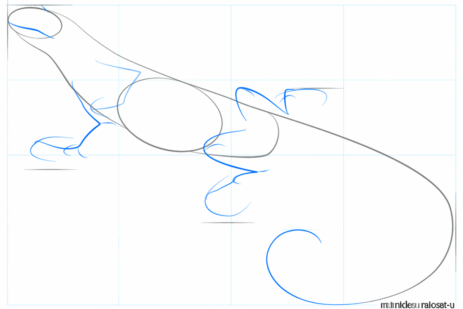 Hulplijnen voor de poten en het gezicht van de leguaan.