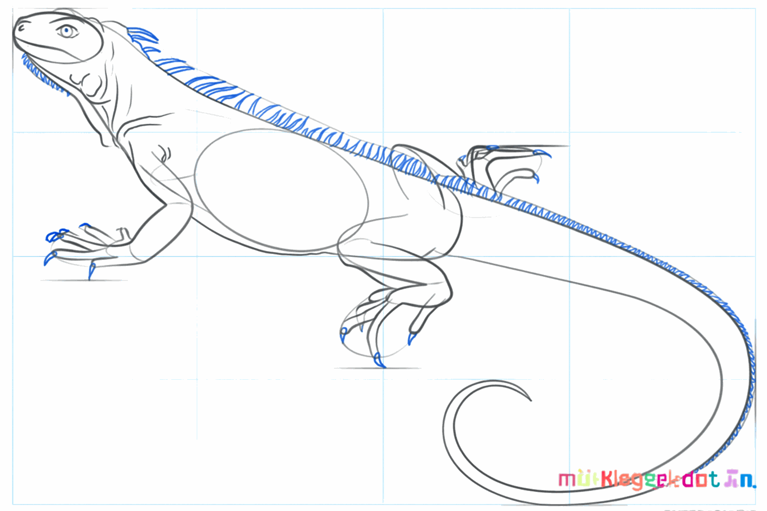 Details van de tenen en een hulplijn voor de rugstekels.