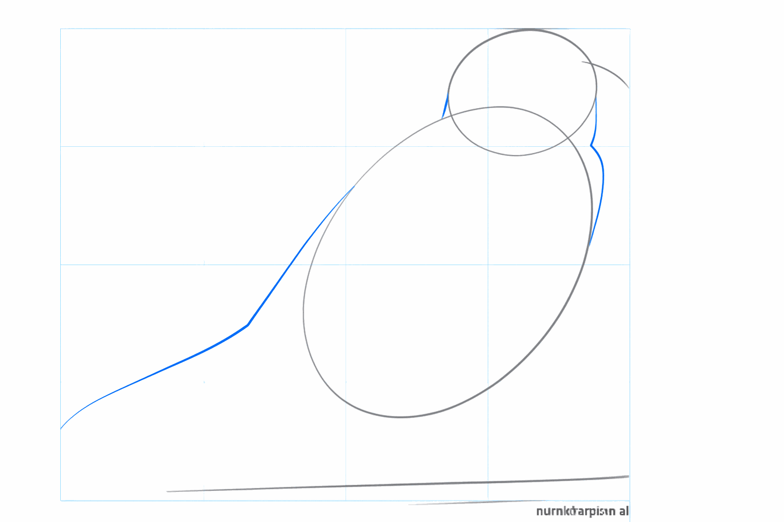 Teken de nek en de staart van de mus met simpele lijnen.