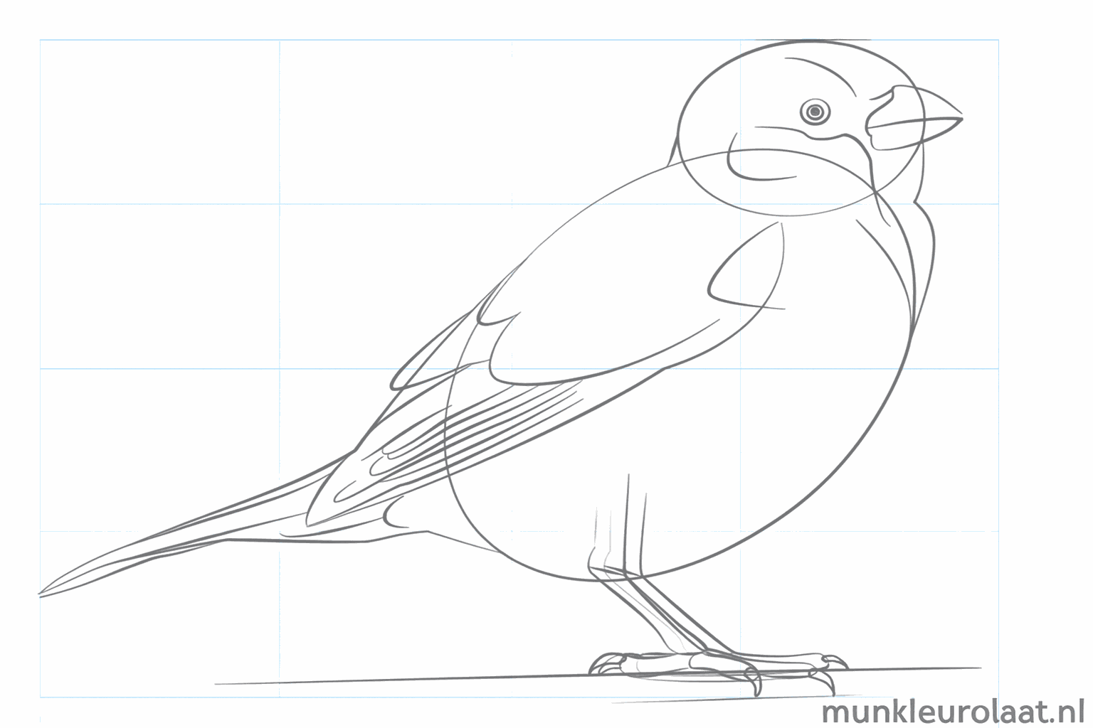 Voeg nageltjes en de eerste veertjes op de vleugel toe.