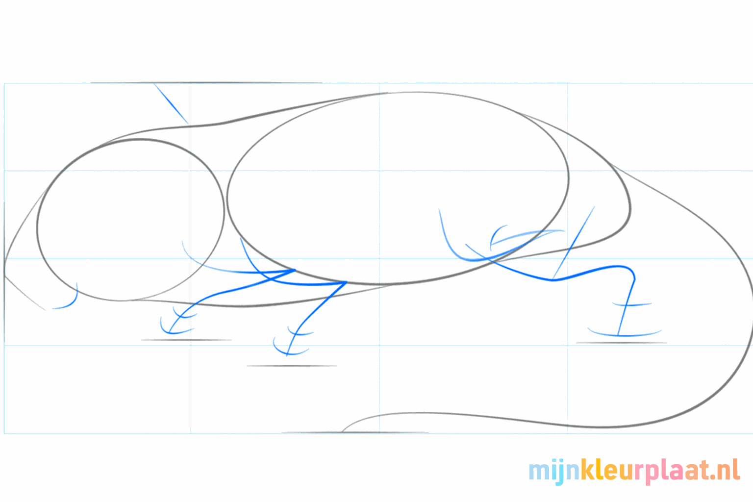 Hulpcirkels voor de wang, het oor en de achterpoot van de gerbil.