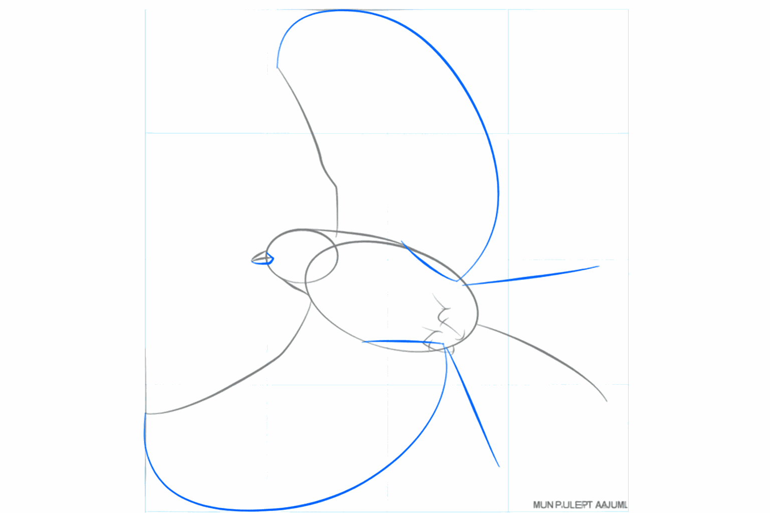 Schets van de snavel en de aanzet van de pootjes onder het lijf.