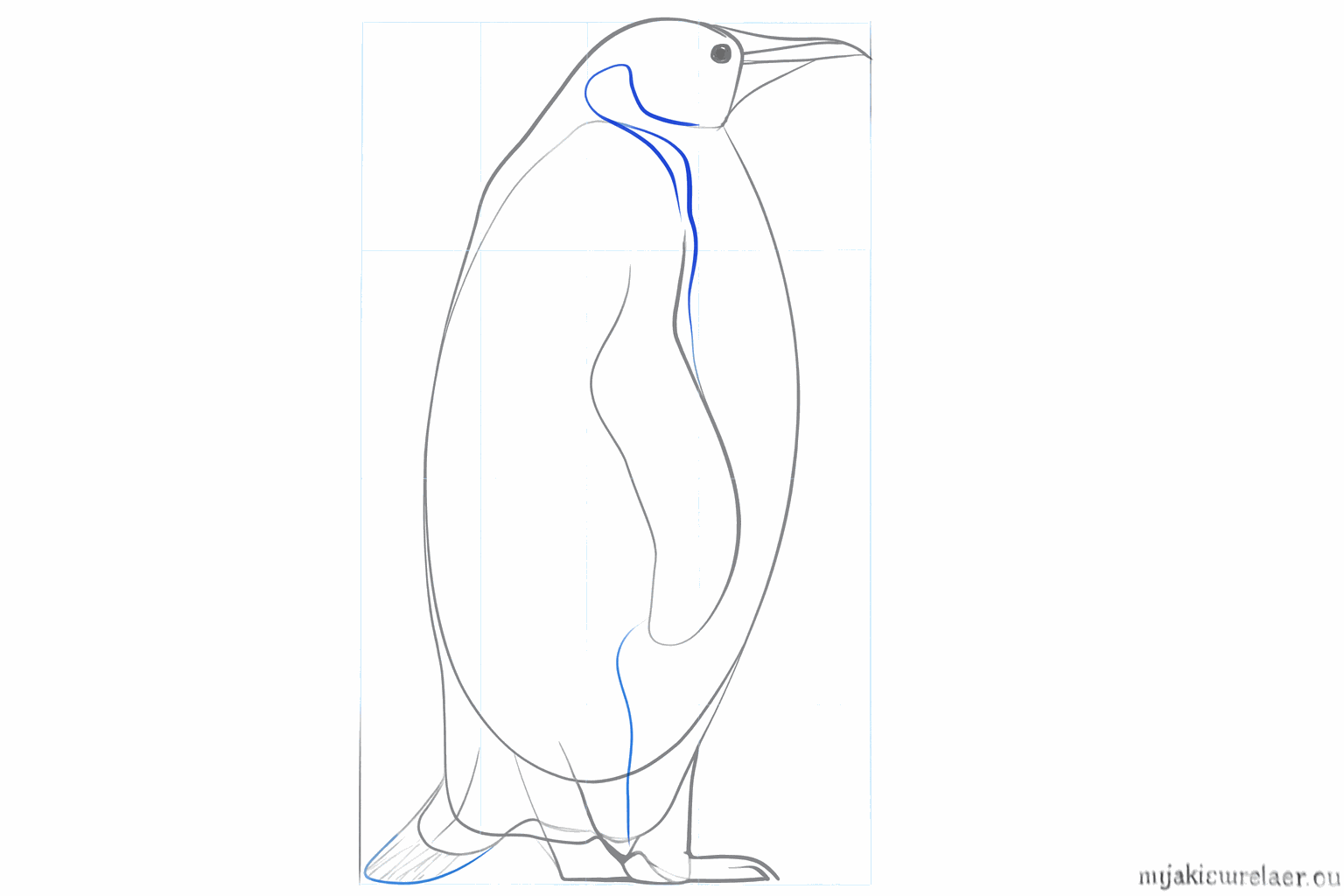 Details van de pootjes met tenen en een kleine staart achteraan.