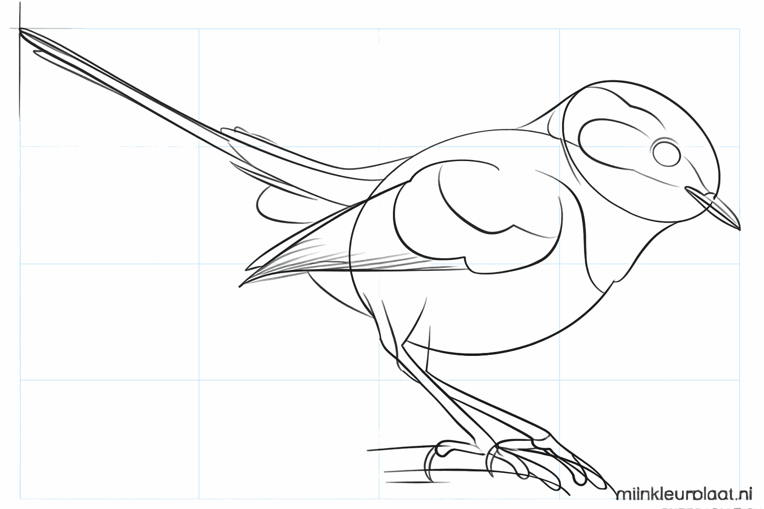 Details van de pootjes op de tak en veertjes in de vleugels.