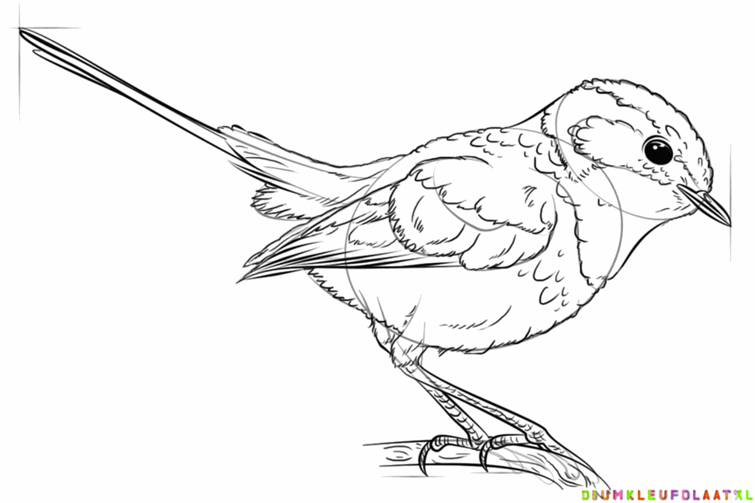 Kleine details zoals klauwtjes en veertjes worden overal getekend.