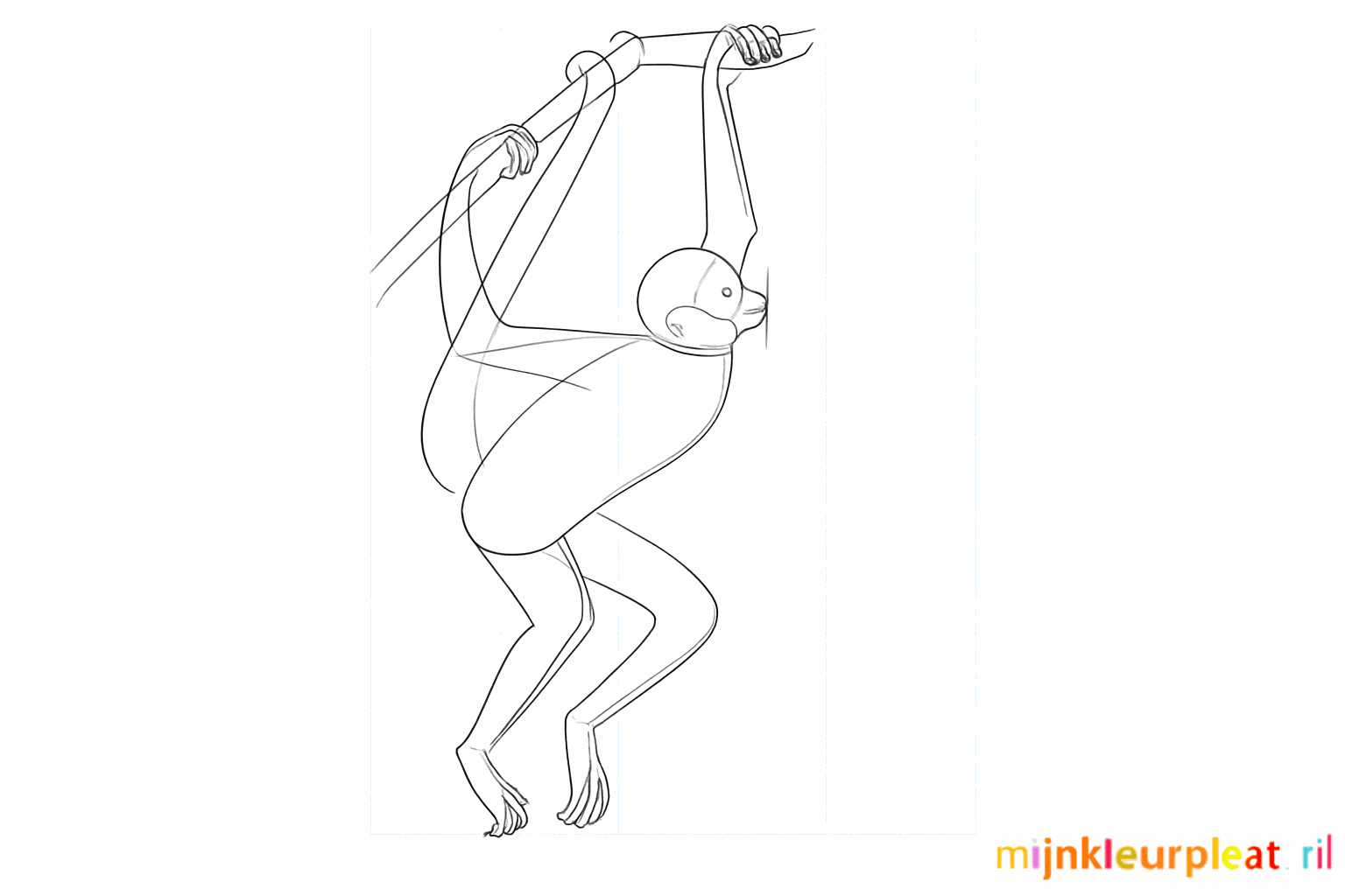 Oortjes, handen en voeten toevoegen aan de tekening van de aap.