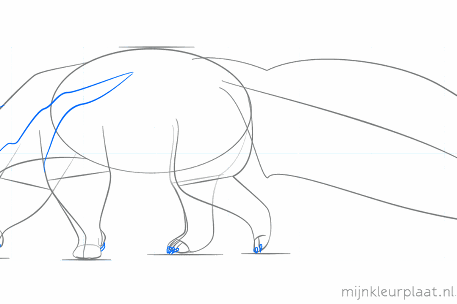 Details van het gezicht en de voeten van de miereneter.